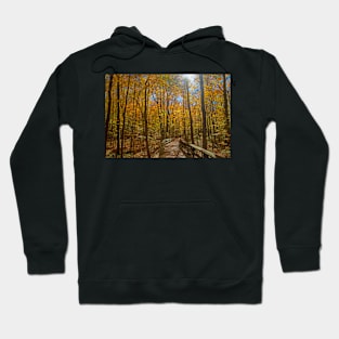 Footbridge in the Autumn Woodland Hoodie